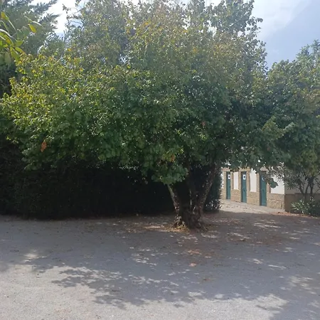 Hébergement de vacances Casa Da Mancha *